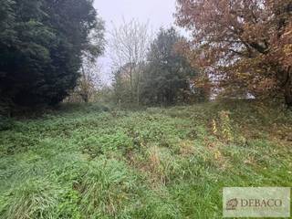 Terrain à vendre à Grobbendonk