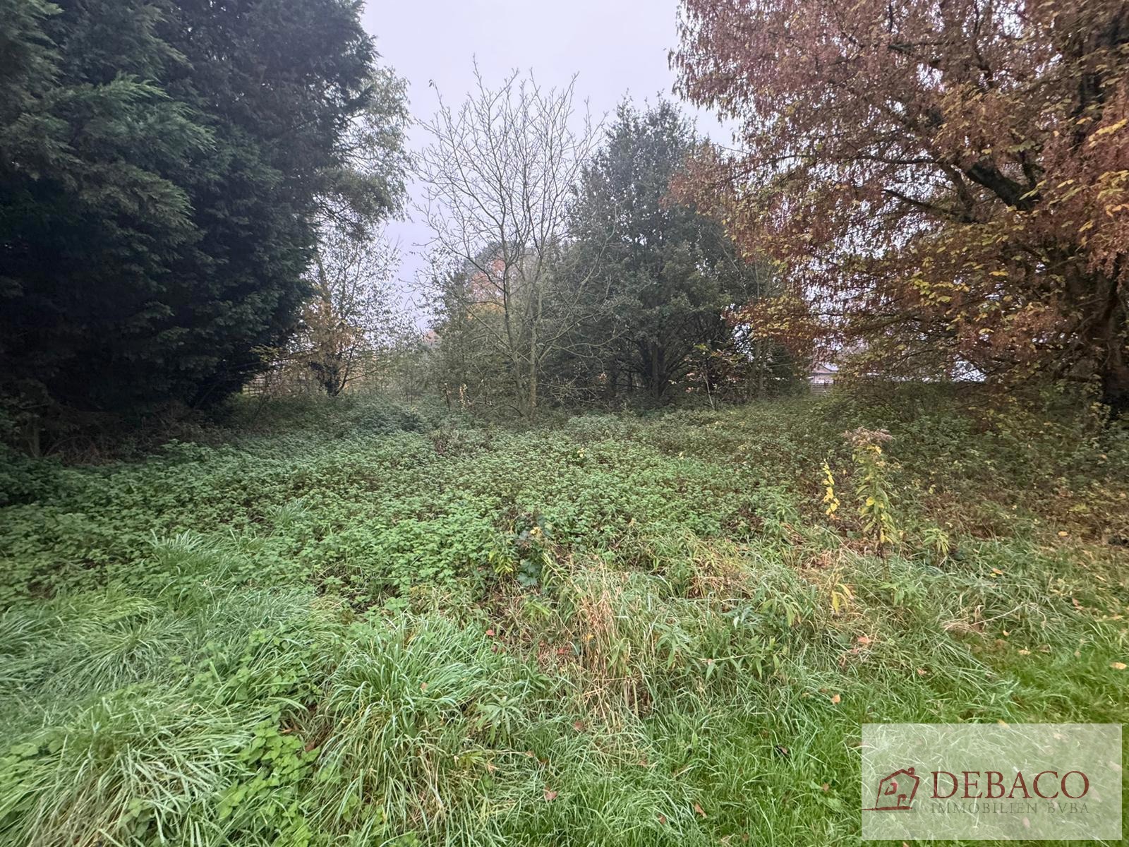 Rustig gelegen bouwgrond voor OB - foto 2