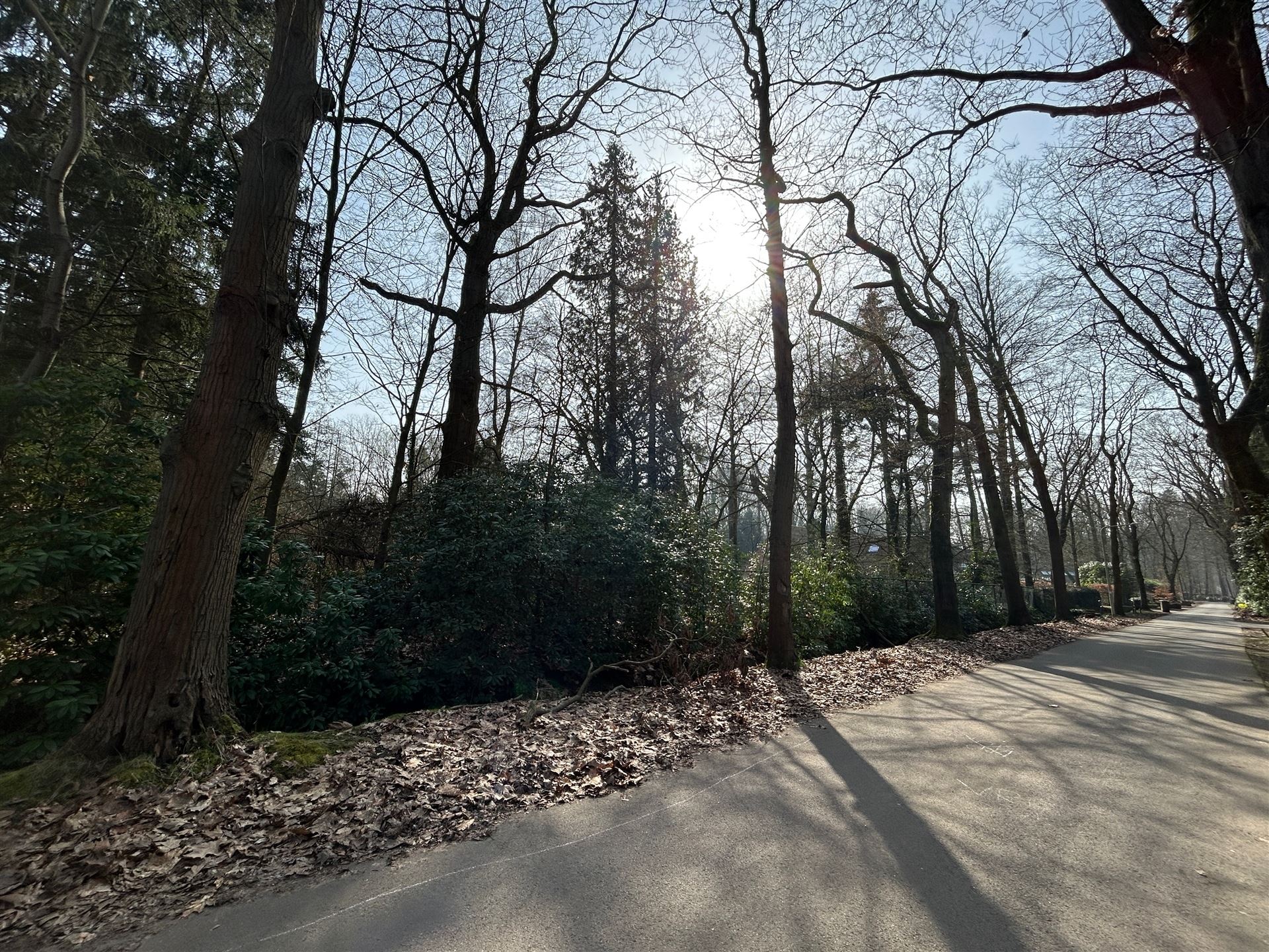 Bremlaan Kapellen bouwgrond - foto 3