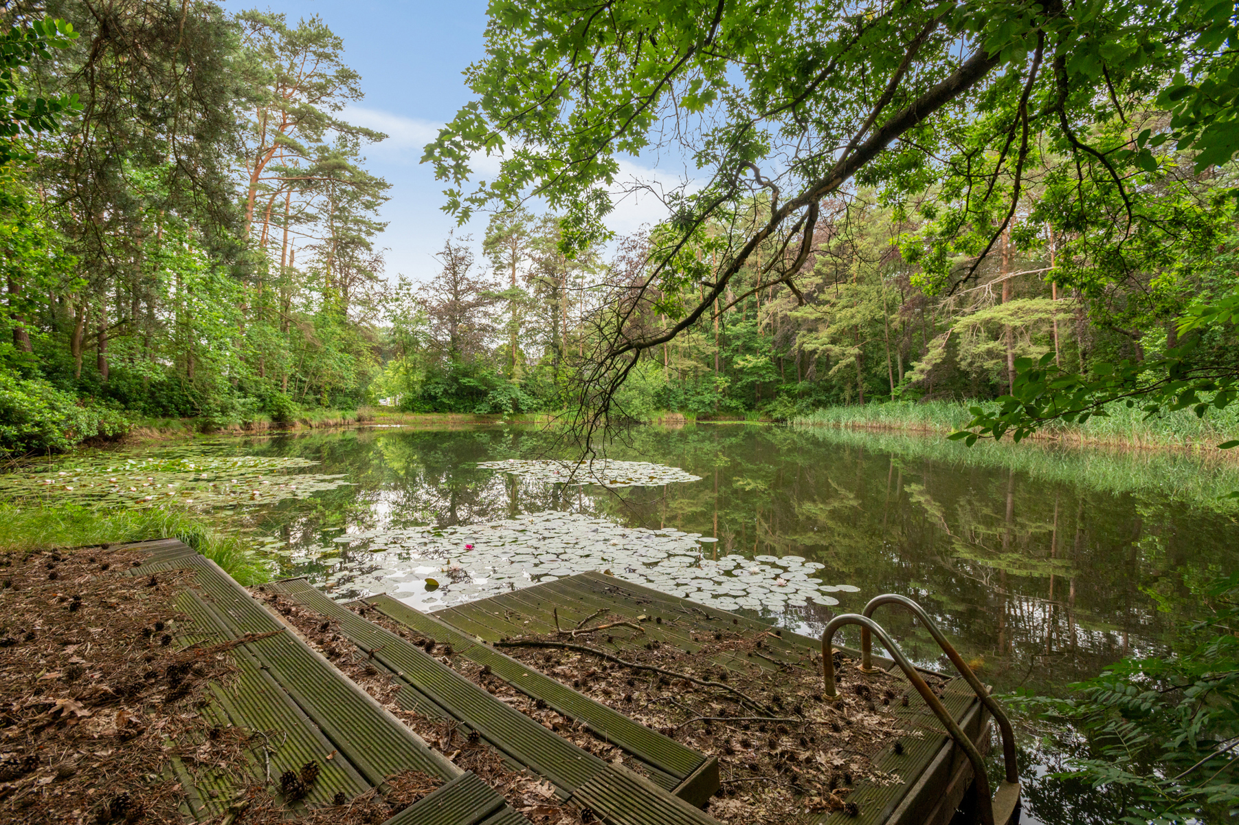 Architecturaal pareltje in een uitzonderlijk groen kader op 13.290 m² - foto 5