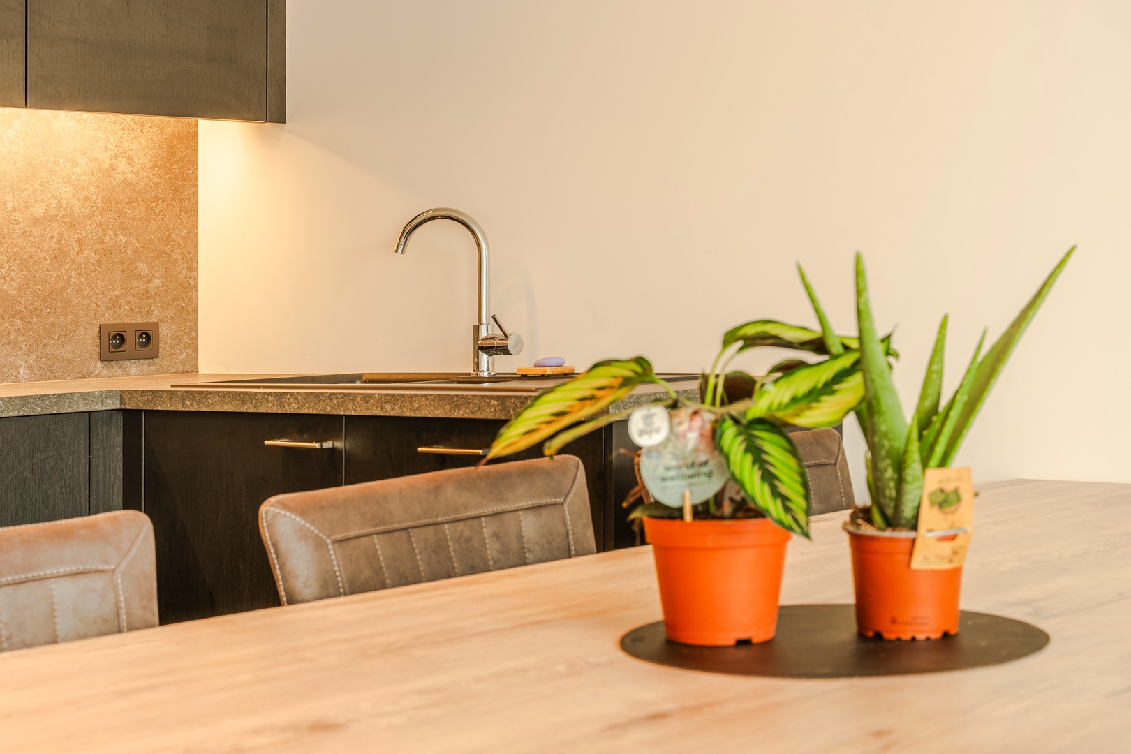 Gelijkvloers appartement met tuin en garagebox. - photo 3