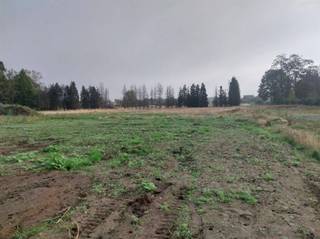 <p><span>Nieuwbouwproject: Twee BEN20-woningen nabij de jachthaven van het Kanaal naar Beverlo.</span></p><p><span> </span></p><p><span>Ontdek dit prachtige nieuwbouwproject bestaande uit twee energiezuinige BEN20-woningen, ideaal gelegen in een rustige, aangename en veilige omgeving, vlak bij de jachthaven van het Kanaal naar Beverlo.</span></p><p><span>Een perfecte locatie voor wie houdt van landelijk wonen met toch alle voorzieningen binnen handbereik. Op slechts enkele minuten bevindt u zich in het gezellige centrum van Leopoldsburg, met winkels, scholen en horeca.</span></p><p><span>De woningen worden opgetrokken op een zuid-oost gerichte bouwgrond van 550 m², geschikt voor halfopen bebouwing — wat zorgt voor een optimale lichtinval en een mooi uitzicht op de tuin.</span></p><p><span> </span></p><p><span>Indeling</span></p><p><span>Gelijkvloers:</span></p><p><span>Inkomhal met apart toilet</span></p><p><span>Ruime, lichtrijke leefruimte</span></p><p><span>Open keuken met zicht op de tuin</span></p><p><span>Praktische berging/wasplaats</span></p><p><span> </span></p><p><span>Verdieping:</span></p><p><span>2 ruime slaapkamers</span></p><p><span>Dressing</span></p><p><span>Badkamer met inloopdouche, dubbele lavabo en toilet</span></p><p><span>Overloop met vaste trap naar de tweede verdieping</span></p><p><span>Zolderverdieping: Mogelijkheid tot een derde ruime slaapkamer of hobbyruimte</span></p><p><span> </span></p><p><span>De woning is voorzien van vloerverwarming op aardgas op het gelijkvloers en in de badkamer. </span></p><p><span>In de badkamer is bovendien een aansluiting voorzien voor een elektrische handdoekdroger als extra bijverwarming.</span></p><p><span> </span></p><p><span>Dankzij het BEN20-label geniet u van een lage energiekost en voldoet de woning aan de strengste normen voor energie-efficiëntie en comfort.</span></p><p><span> </span></p><p><span> </span></p><p><span> </span></p><p><span> </span></p>