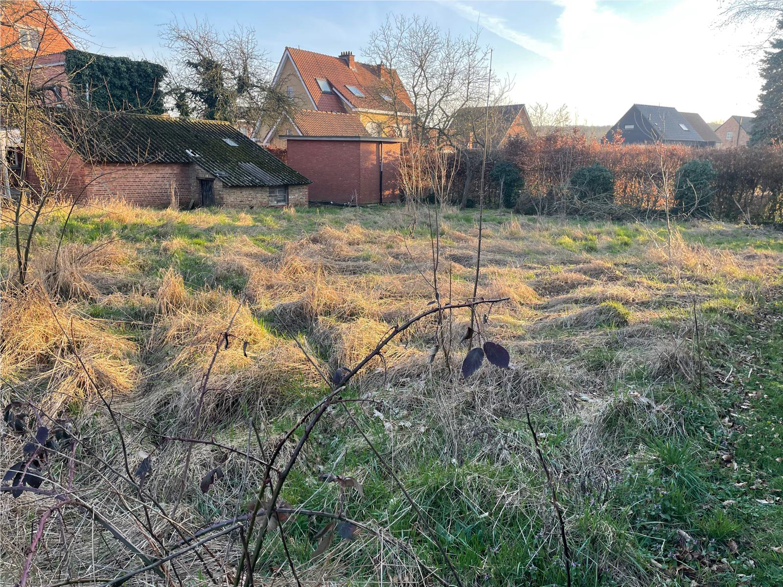 Charmante vrijstaande woning met zonnige tuin en veel lichtinval! - foto 3