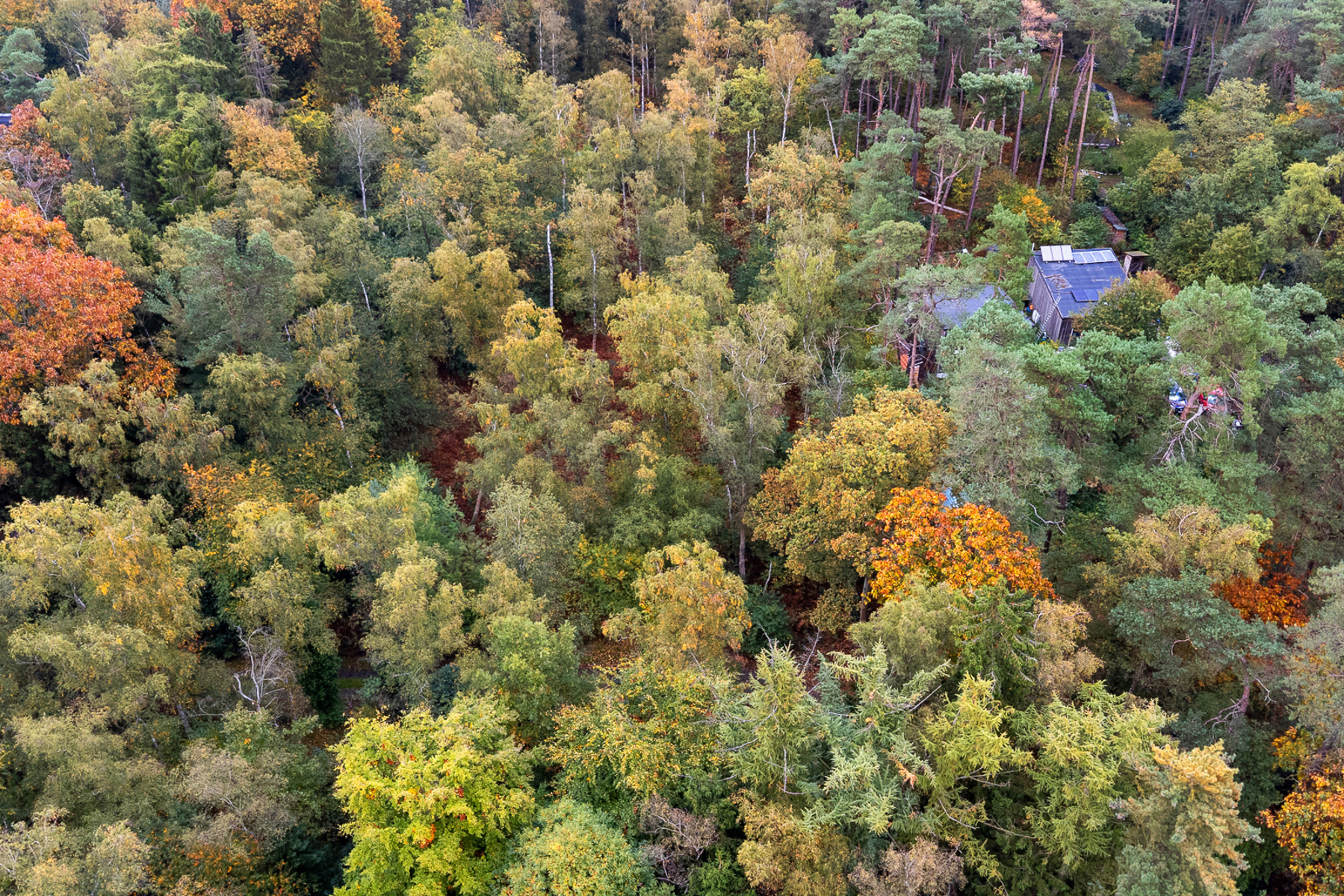 Land for sale in Brasschaat - photo 4