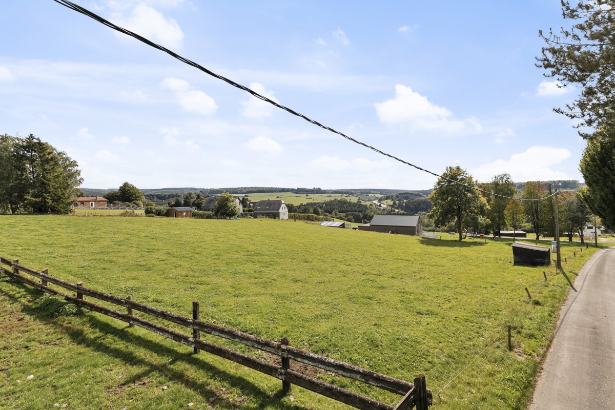 Land for sale in Tenneville - photo 5