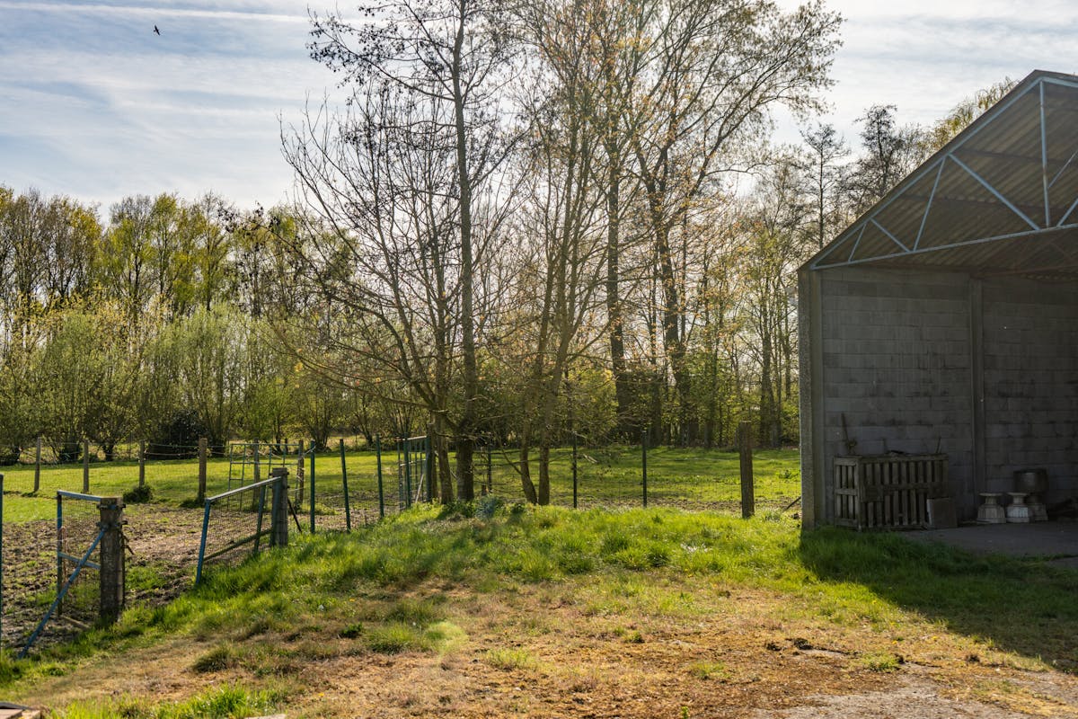 Projectgrond/woning (7205 m2) met veel mogelijkheden - foto 5