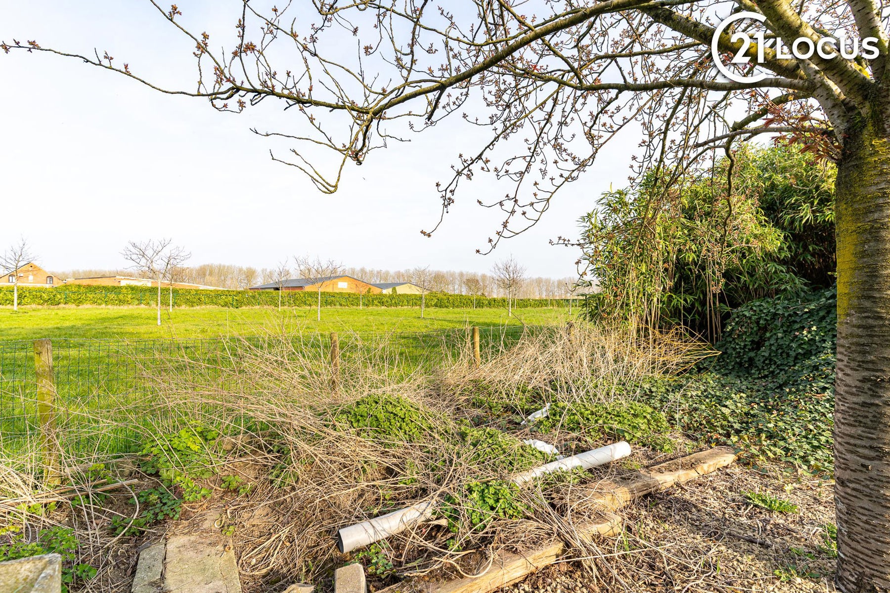 Renovatie- of heropbouwproject op 550 m² in Verrebroek - foto 3