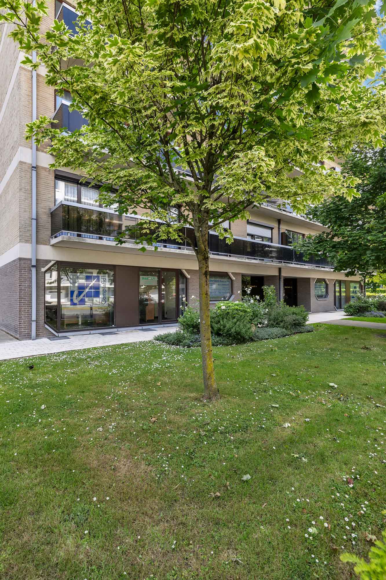 Rez-de-chaussée commercial prêt à l'emploi - photo 3