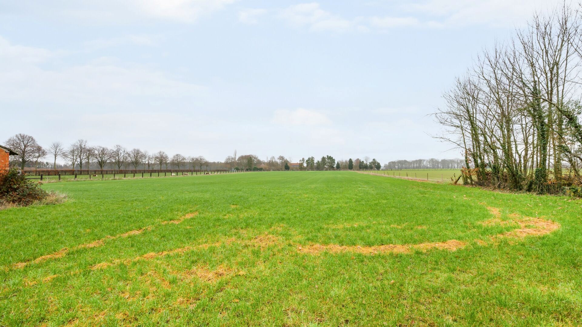 Prachtige nieuwbouwvilla op ca. 1,5 hectare met mogelijkheid tot aankoop aan 6% btw - foto 5