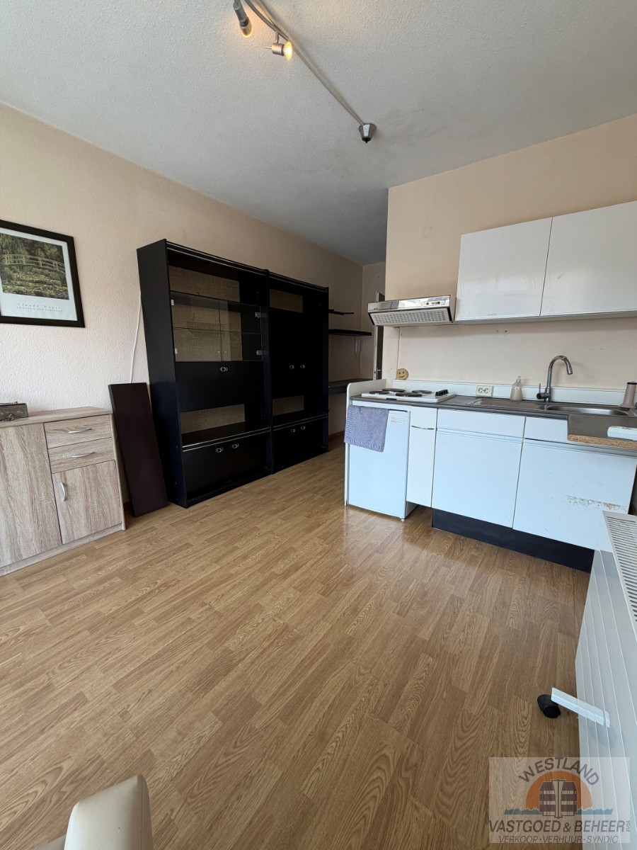 Te renoveren studio - foto 5