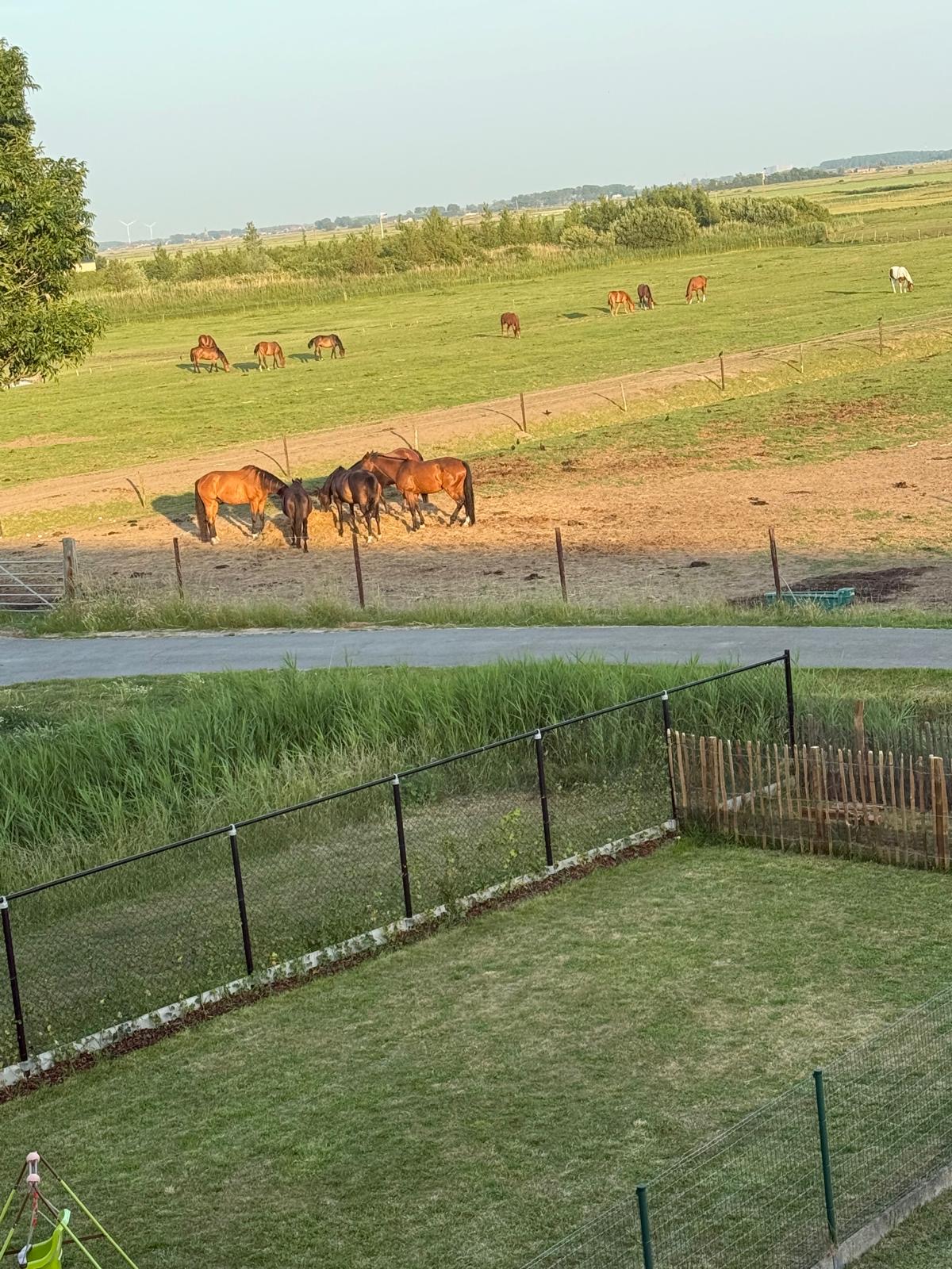 Bel-étage woning te koop in Wenduine met verzicht en garage! - foto 4