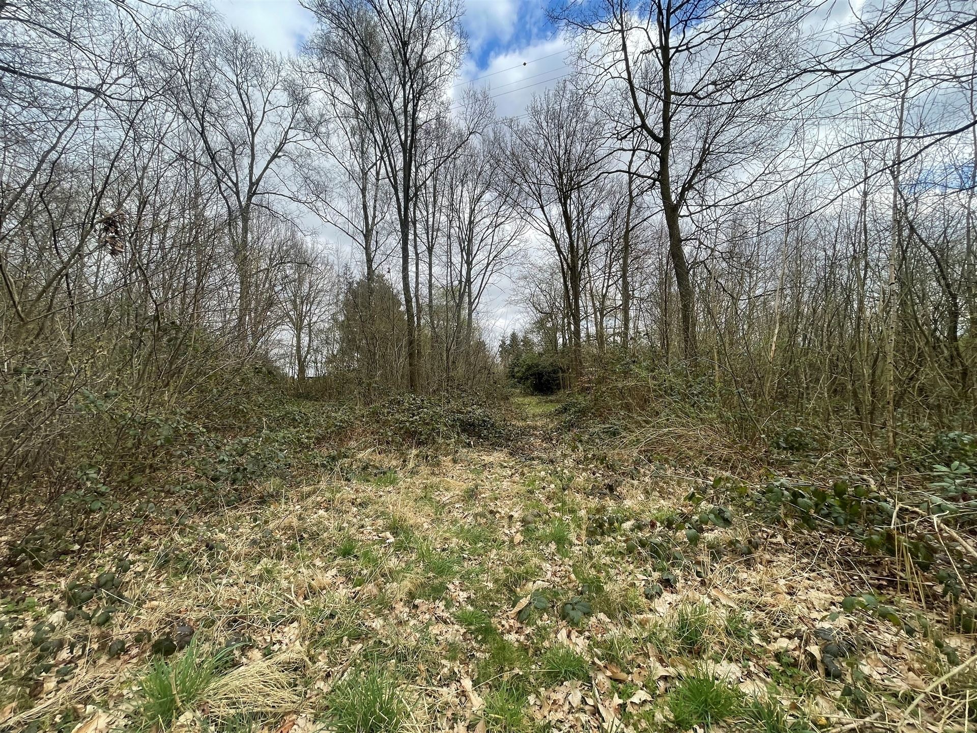 Terrain à vendre à Elewijt - photo 5