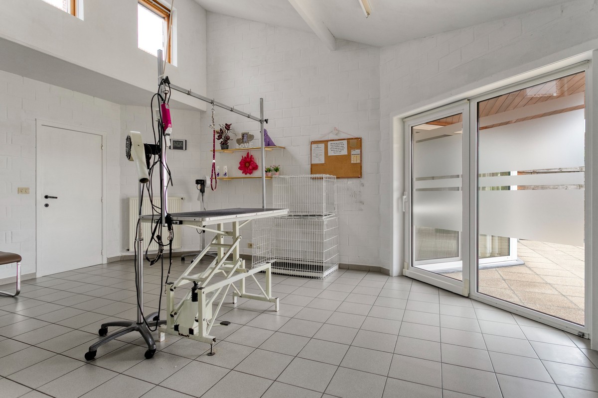 Handelspand + instapklare woning op commerciële ligging – ideaal voor wonen en werken! - photo 4