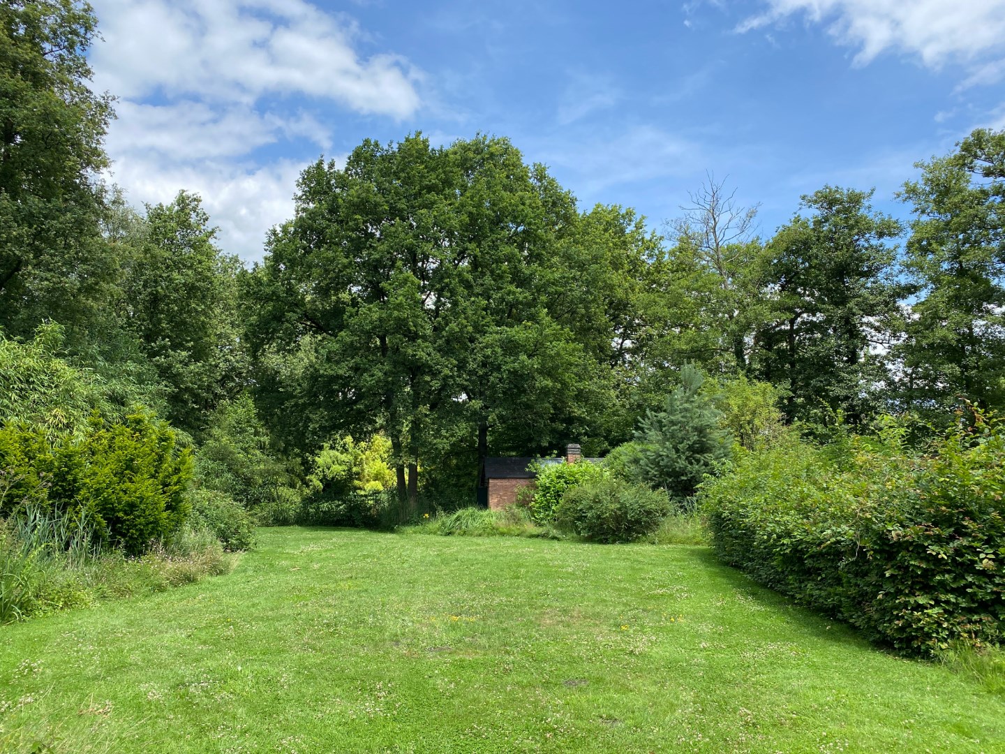 Te verkavelen grond van 6.140 m² met 64,20 meter langsheen de straat te Zoersel - foto 1