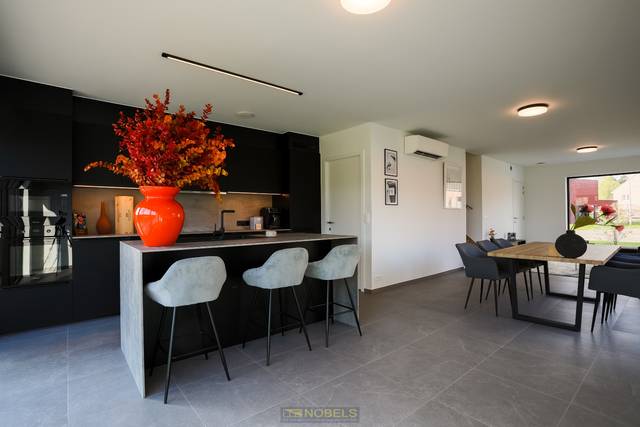 Project te koop in Oudenaarde