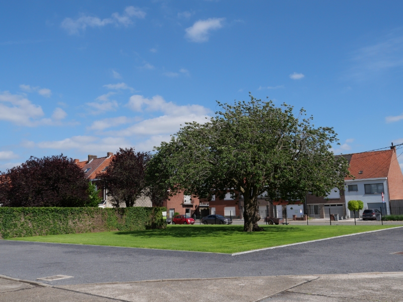 Kantoor 6 te huur, dichtbij ring van Kortrijk en autosnelwegen - photo 5