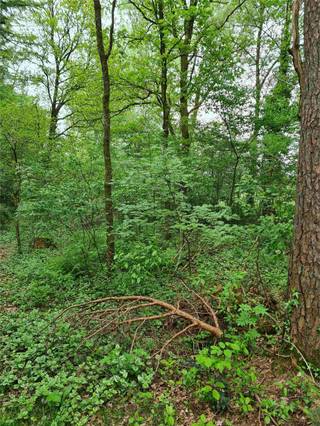 Terrain à vendre à Hechtel-Eksel