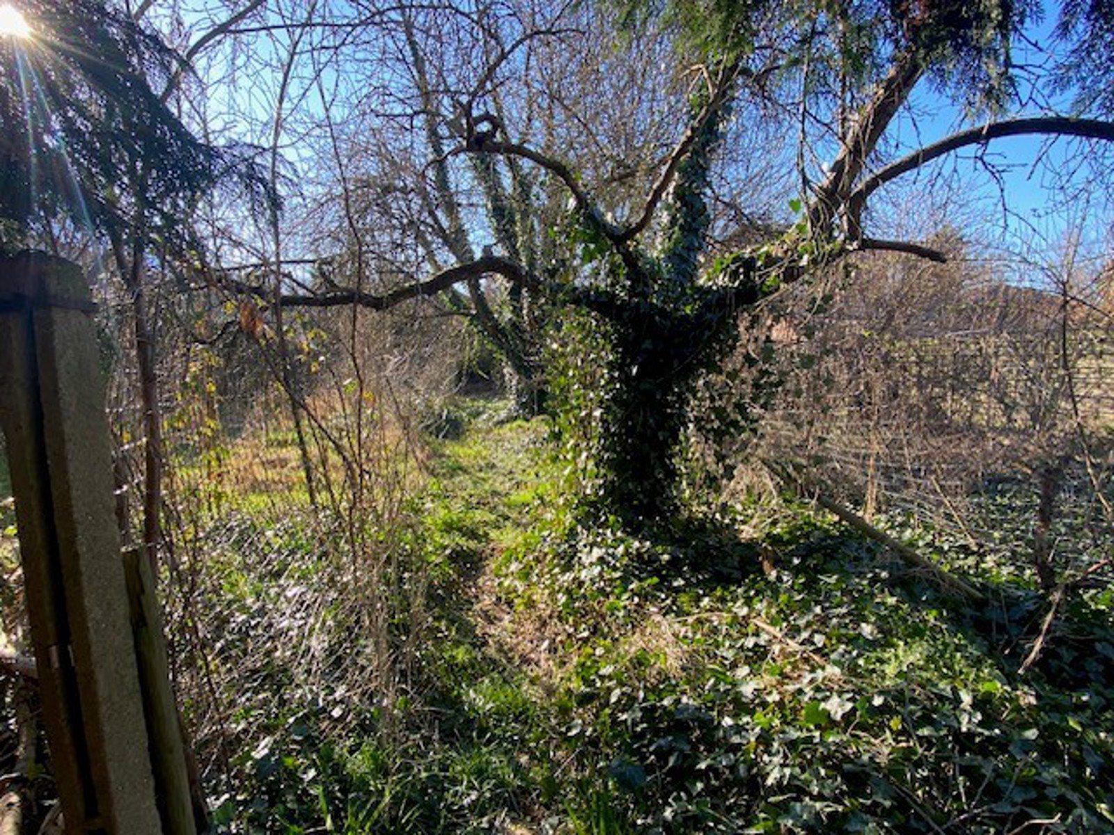 Bouwgrond voor halfopen bebouwing te Rotselaar. - foto 4