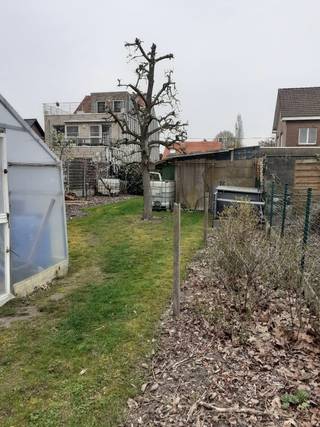 Bouwgrond voor halfopen bebouwing met mogelijkheid voor appartementsbouw
Grootte 600 m² (10 m. x 60 m.)
Goede ligging 3 km. van autostrade en trein (17 min. Antwerpen)
Tuin zuiders gericht
Dichtbij centrum
tel. 0475718430