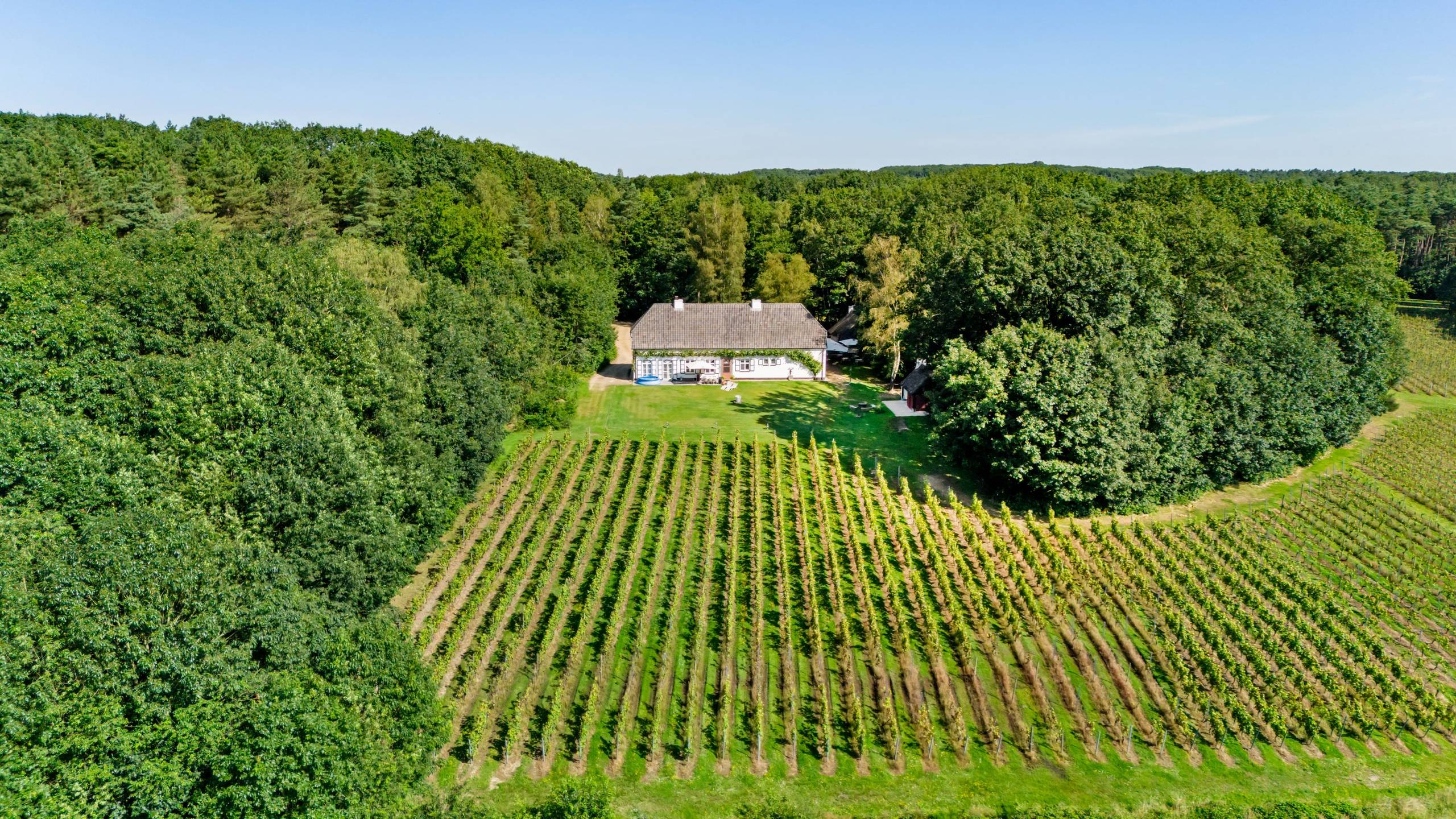 Magnifique domaine viticole à Herselt sur un terrain d'environ 5,1 hectares - photo 4