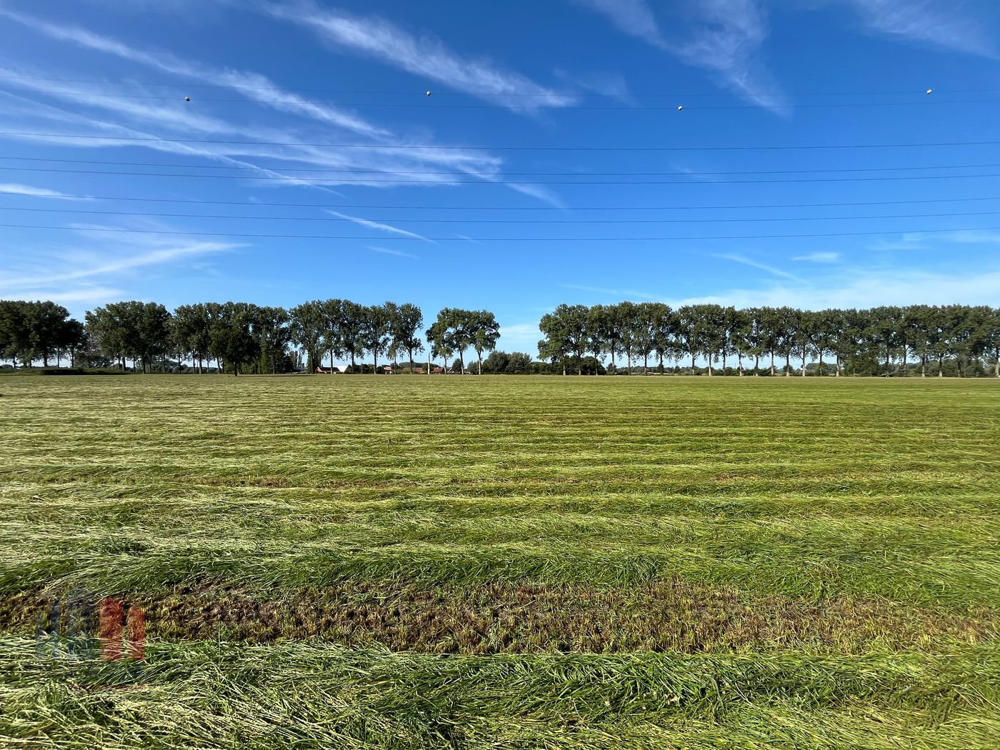 Industriegrond op maat vanaf 5.000m² tot 36.000m² mét zichtlocatie - foto 5