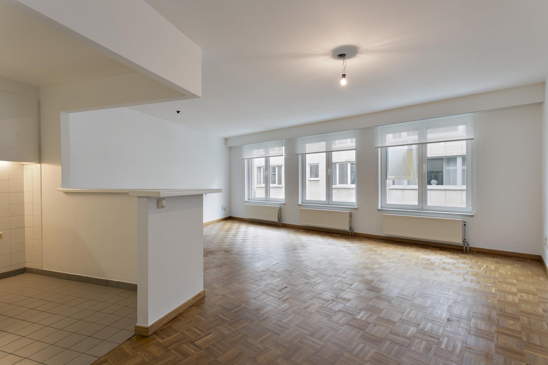 Zeer licht en aangenaam één-slaapkamerappartement - foto 2