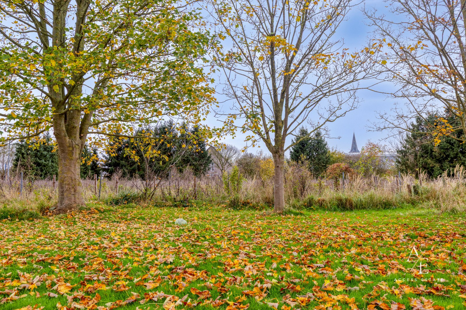 Terrain à vendre à Schellebelle - photo 4