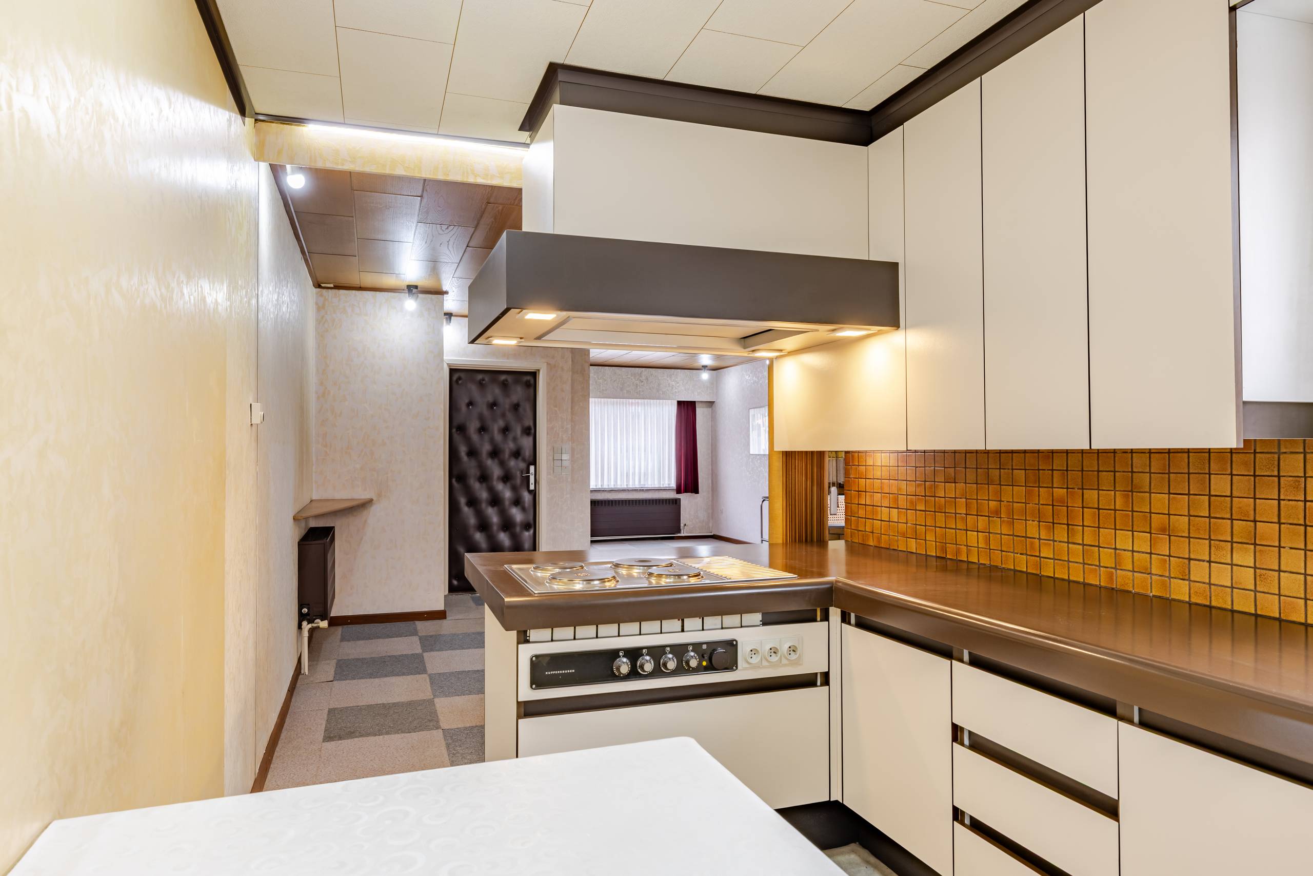 RUIME WOONST IN ZELZATE - foto 5