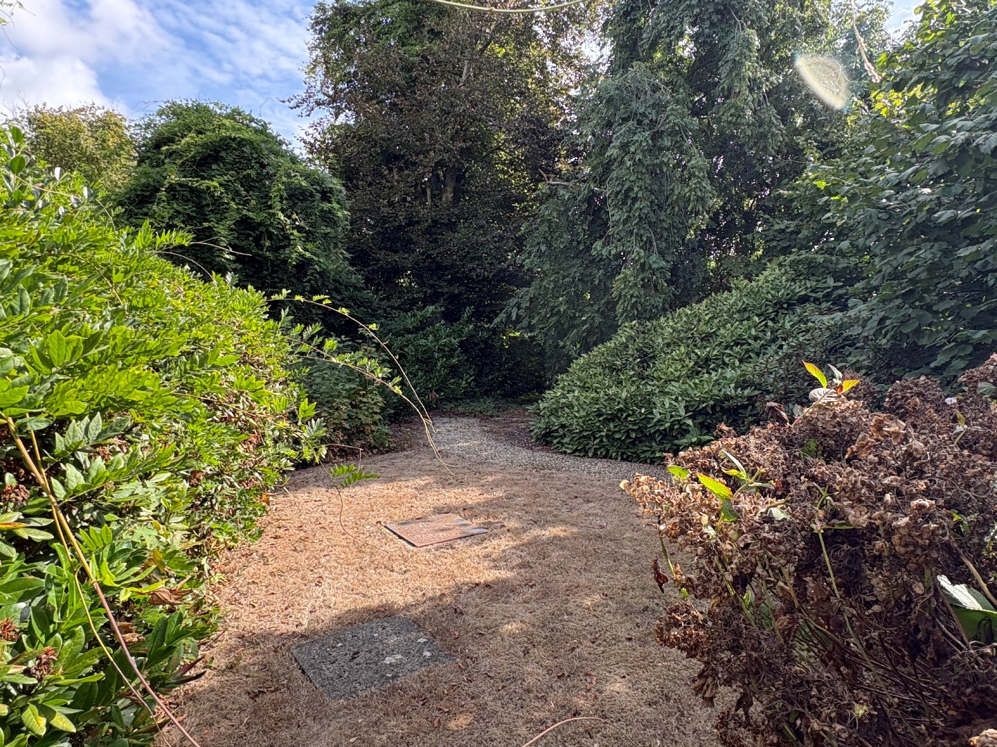 Bouwgrond op 1290 m², met landelijke verzichten in Ingooigem. - foto 5