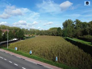 <p><span>ROYAAL PERCEEL VOOR OPEN BEBOUWING</span></p><p><span>Klakvijverstraat tussen nummer 130 en 122 te Geraardsbergen </span></p><p><span>Prijs 175.000 euro </span></p><p><span> </span></p><p><span>Dit prachtig gelegen stuk grond in het landelijke Grimminge ligt vlakbij het vakantiedomein de Gavers en openbaar vervoer. </span></p><p><span>Zowel vooraan als achteraan biedt deze plek een uitzicht over de velden en de natuur.</span></p><p><span> </span></p><p><span>Oppervlakte: 19,3 are</span></p><p><span>Bouwvoorschriften: </span></p><p><span> </span></p><p><span>-              Breedte: 10,13m</span></p><p><span>-              Bouwdiepte gelijkvloers 15m</span></p><p><span>-              Bouwdiepte verdiep 1: 12m</span></p><p><span> </span></p><p><span>Mogelijkheid tot type bungalow ook als kroonlijsthoogte max 4m is, mag er 18m diep gebouwd worden.</span></p><p><span> </span></p><p><span>De tuin is georiënteerd naar het Noorden. Bouwen op paalfunderingen.</span></p><p><span> </span></p><p><span>Wilt u uw droomwoning zelf bouwen, dan is deze plek ideaal!</span></p><p><span> </span></p><p><span>Voor info of bezoek bel Dylan op 0489/54.69.99 of mail naar <span>Dylan@svena.be</span></span></p><p><span> </span></p><p><span> </span></p><p><span> </span></p>
