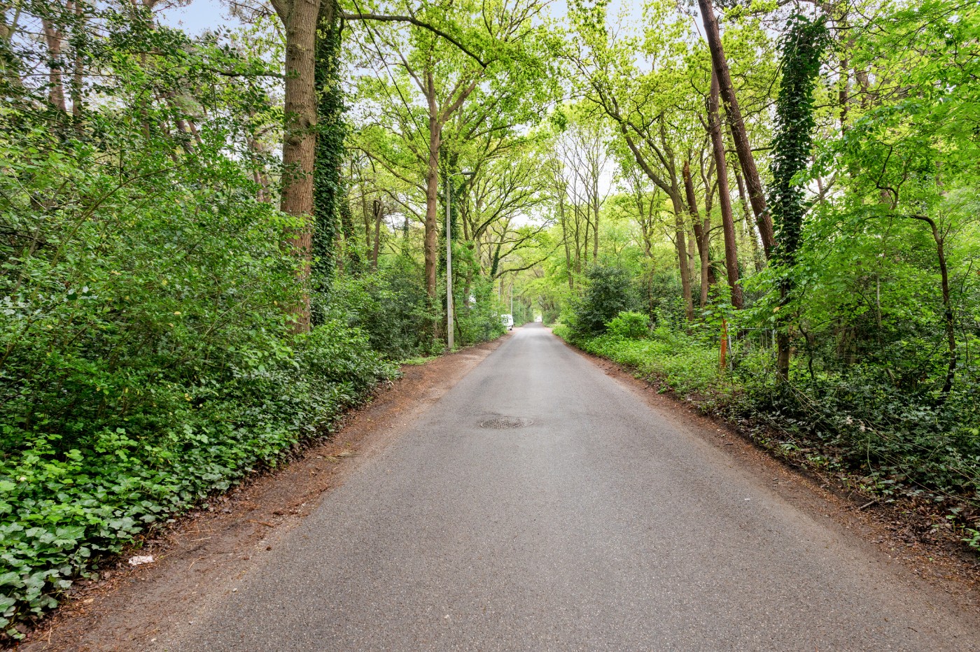 Perceel bosgrond van 1.000m² - foto 4