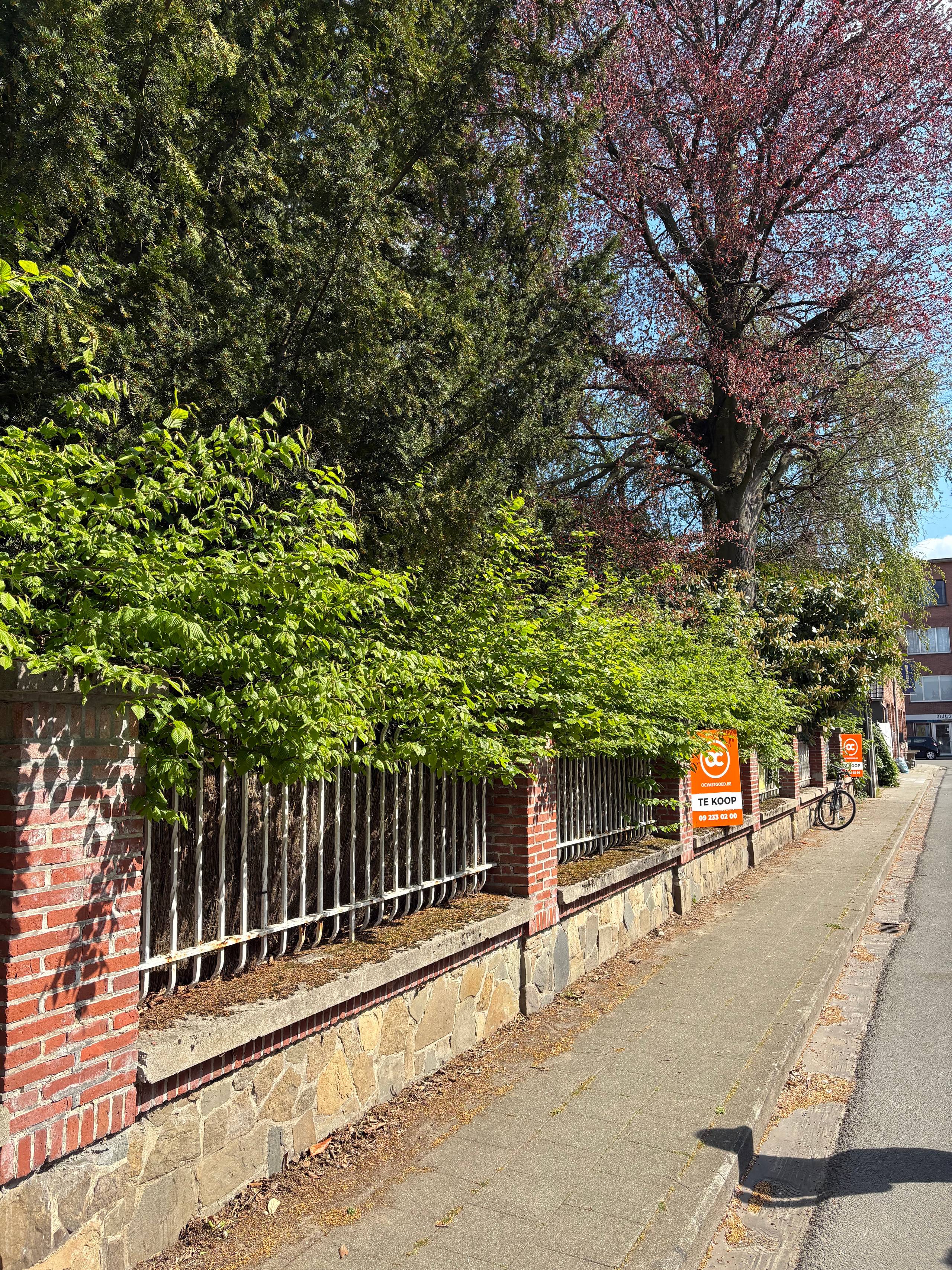 Groen gelegen bouwgrond voor HOB - foto 3