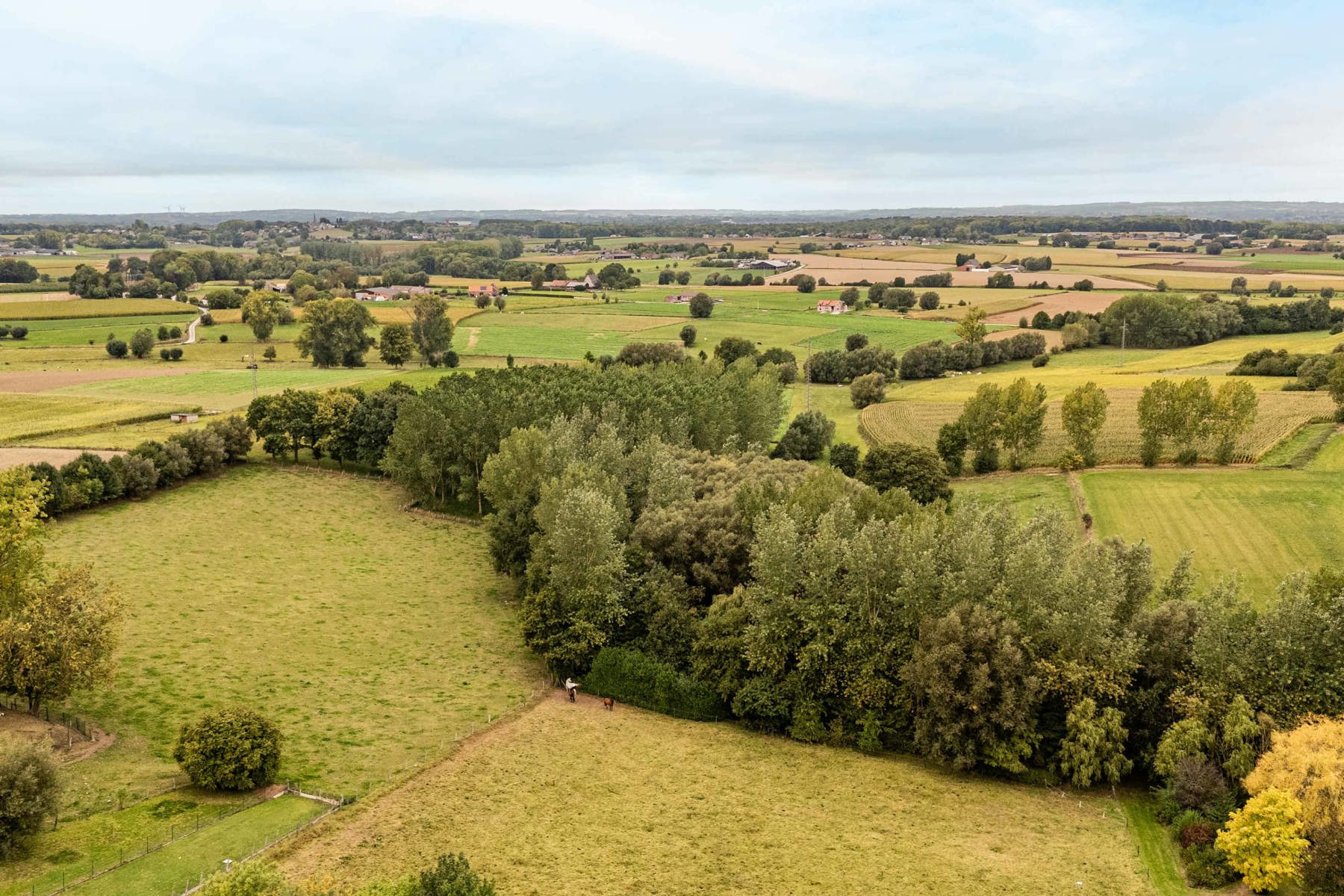 Land for sale in Bever - photo 5