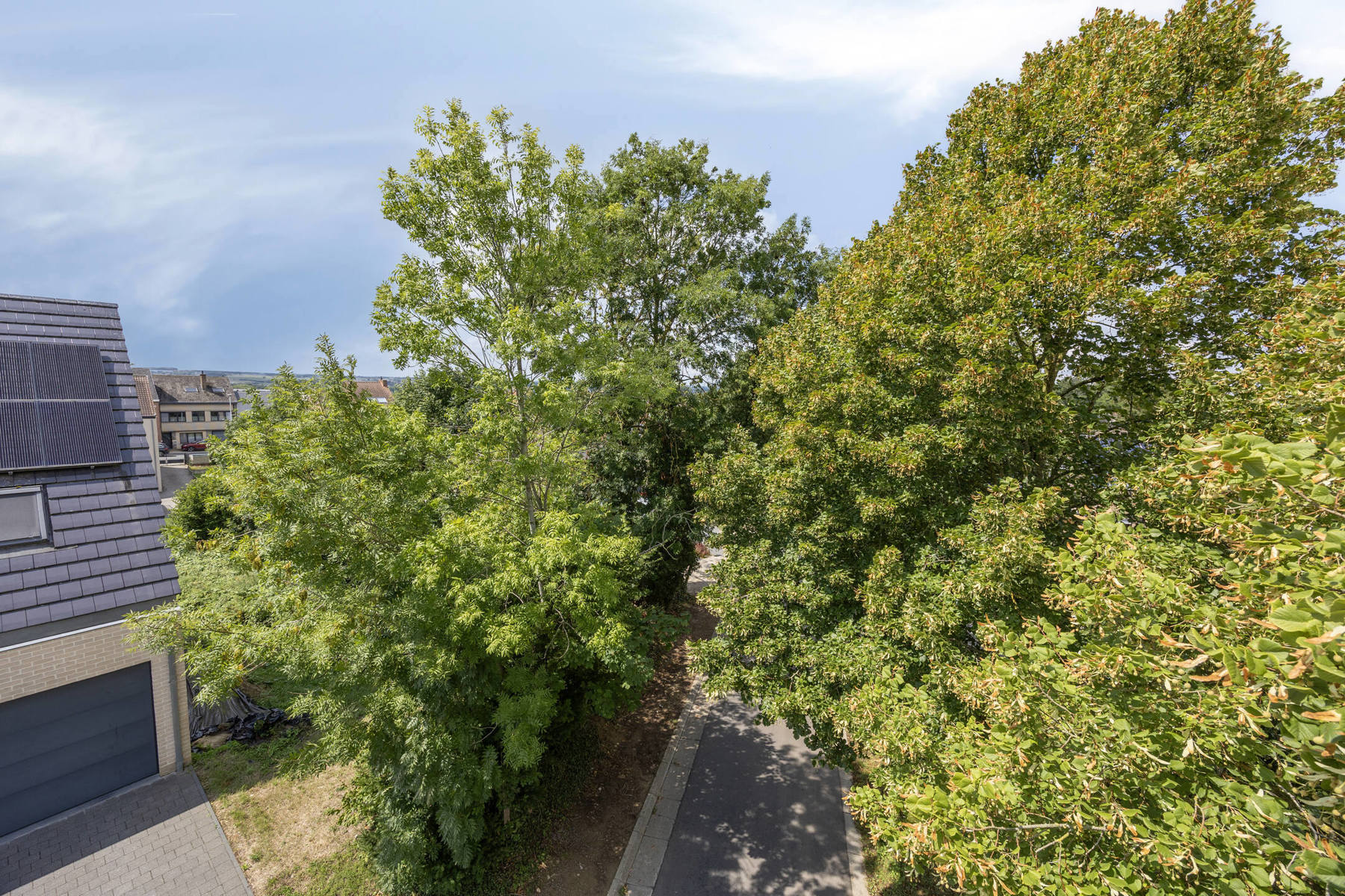 Bouwgrond  6a 63ca op wandelend afstand van het Hallerbos. - foto 5