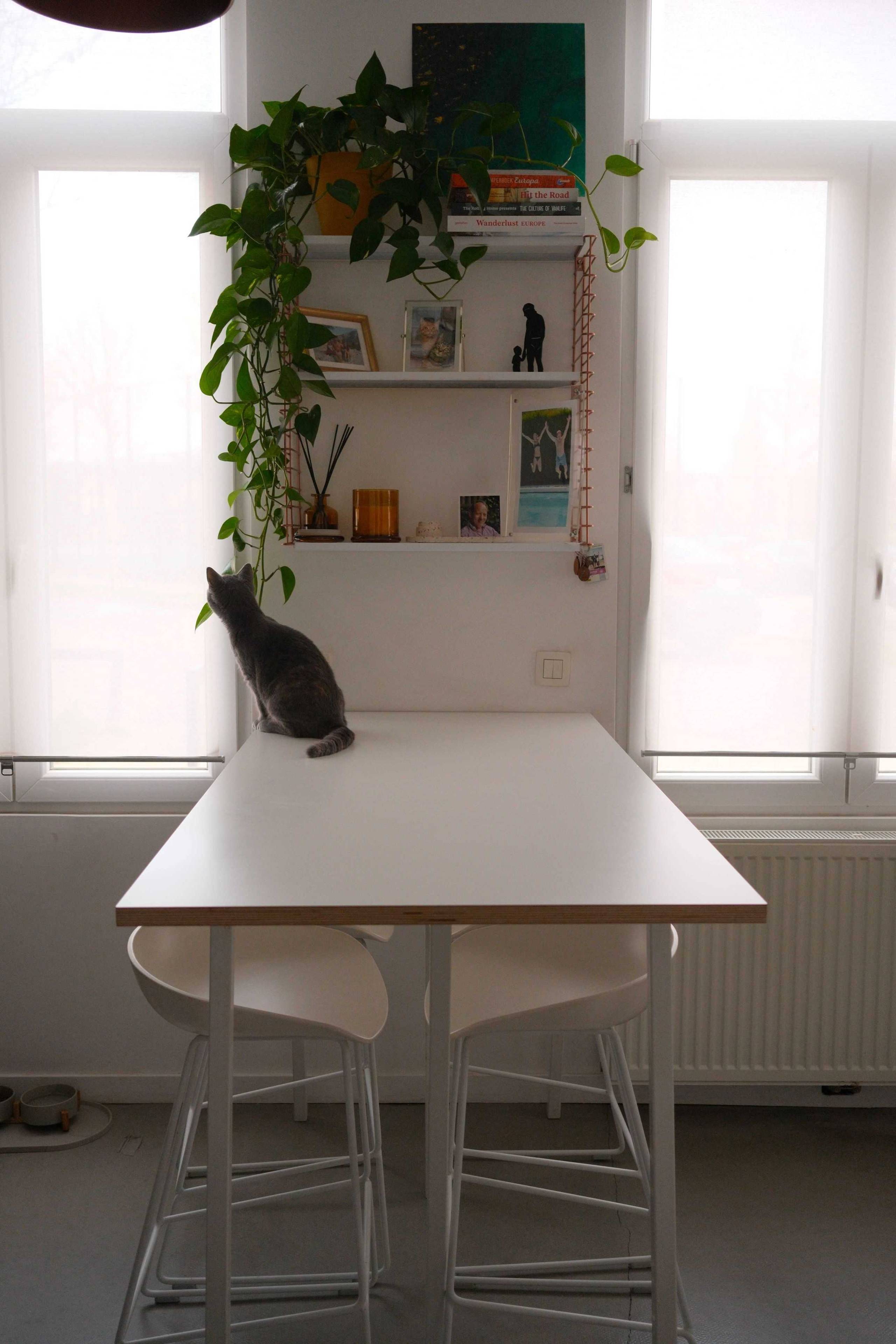 Appartement te koop in Antwerpen met 1 slaapkamer - foto 3