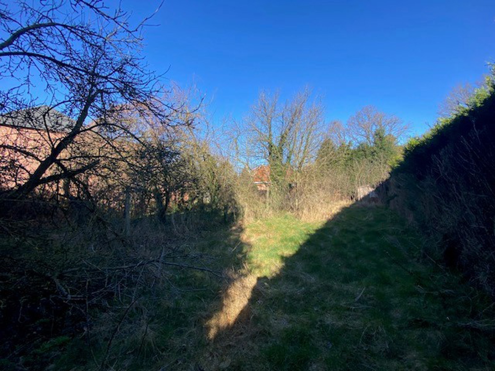 Bouwgrond voor halfopen bebouwing te Rotselaar. - foto 2