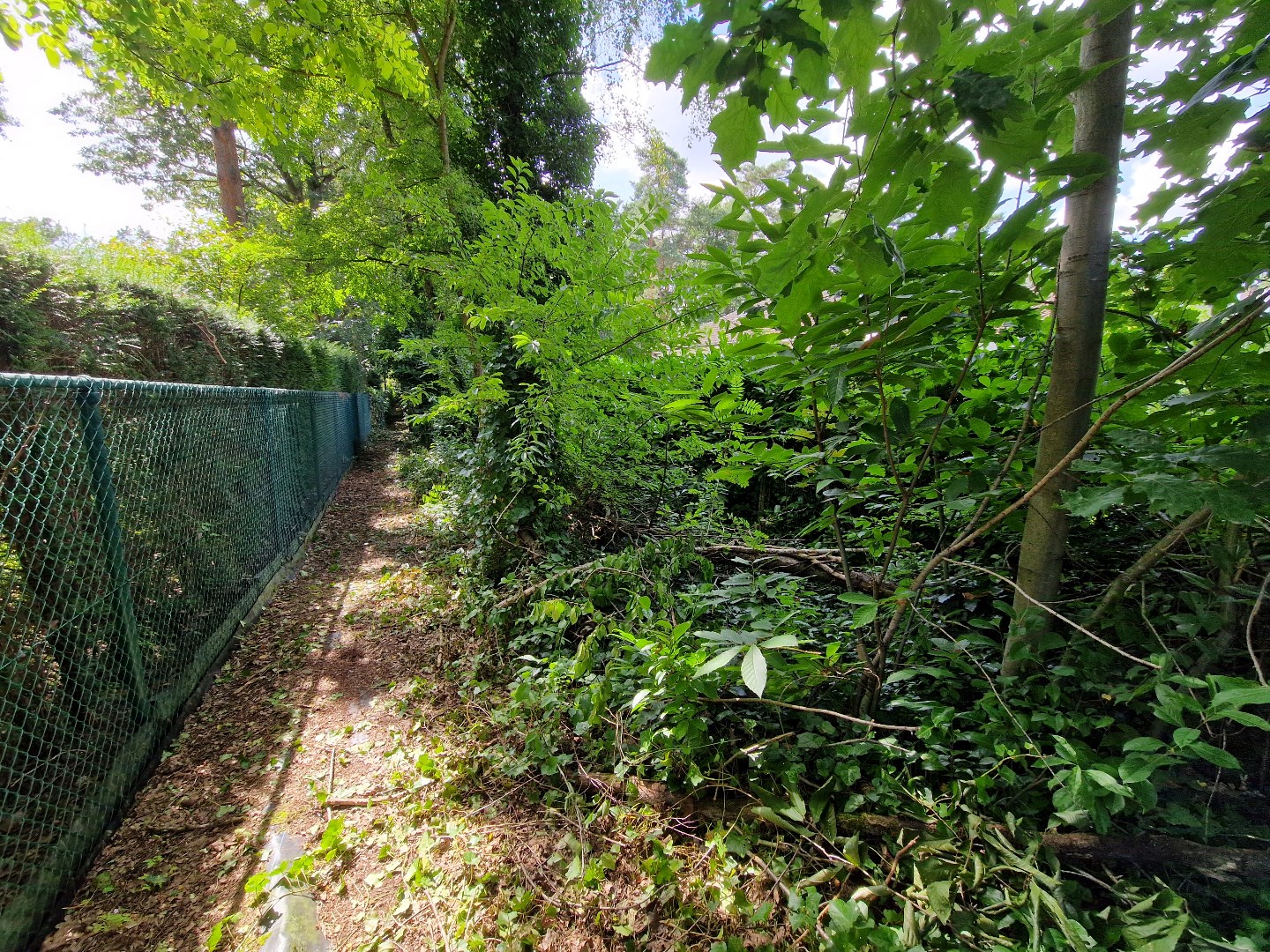 Bouwgrond voor open bebouwing op een topligging in Keerbergen! - foto 4