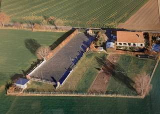 Ruime gezinswoning met paardenstallen, buitenpiste en zwembad op 0,5 ha te Kinrooi Op een prachtig perceel van 5.000 m² vind je deze charmante woning...