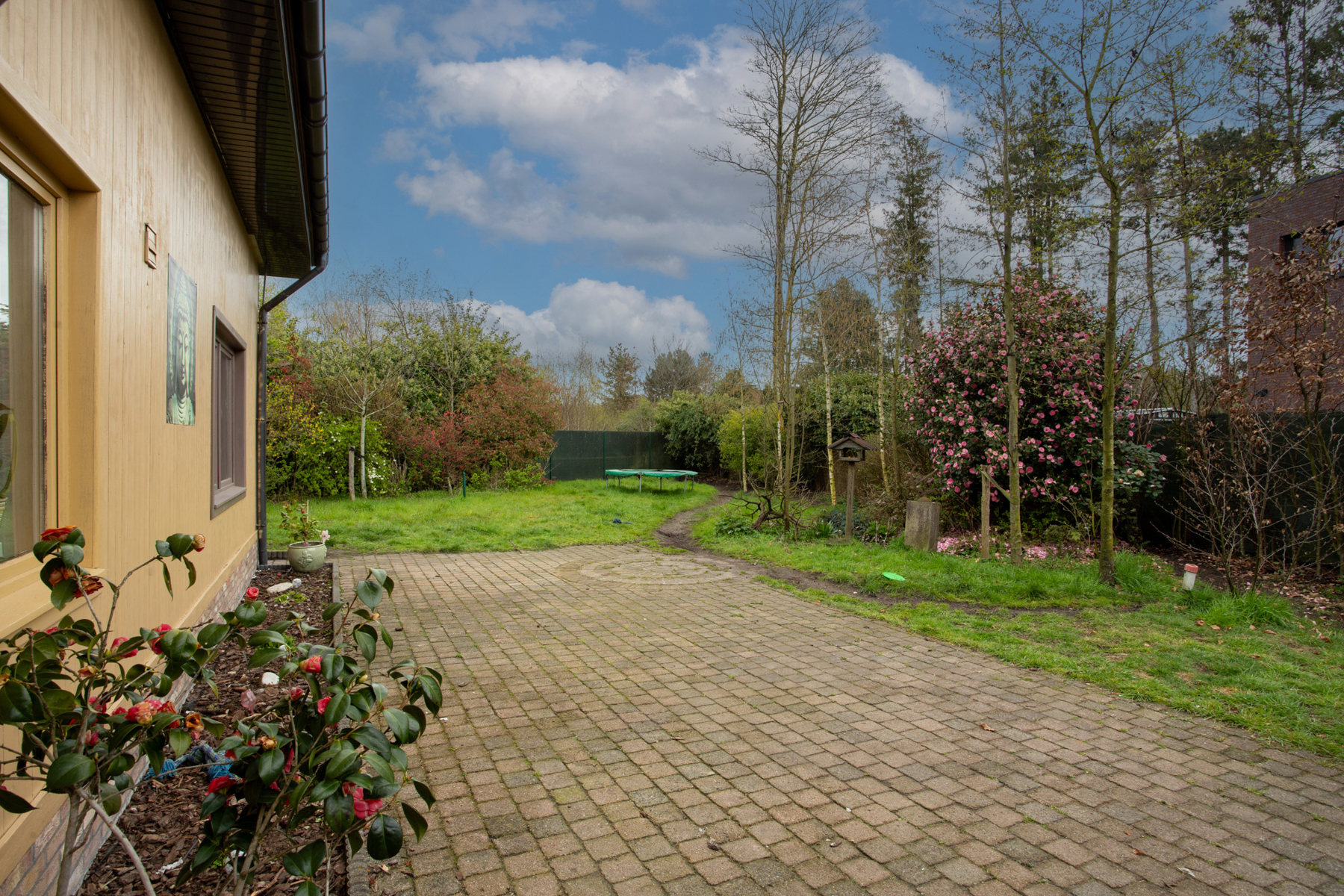 Maison à vendre à Wuustwezel avec 3 chambres - photo 2