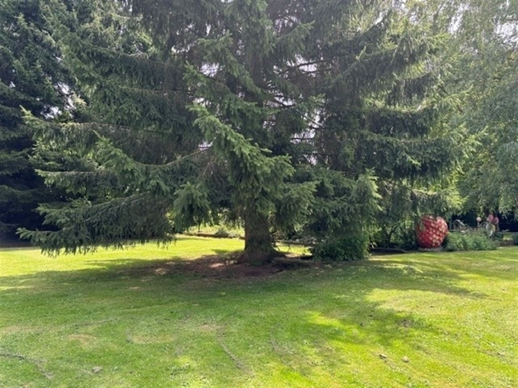 Grond op uitstekende locatie - foto 4
