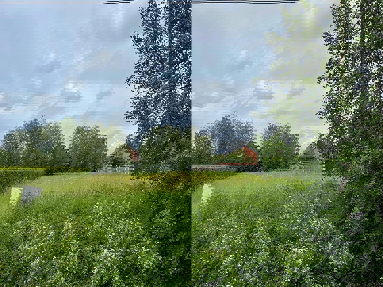 Land for sale in Drongen - photo 1