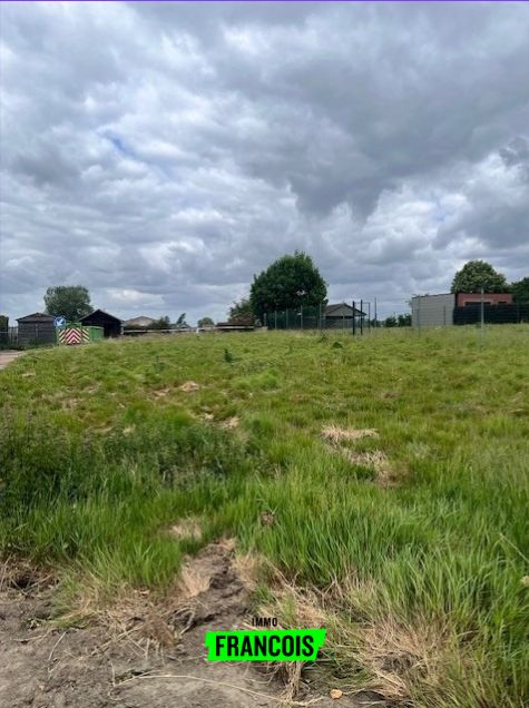 Bouwgrond te koop in Lauwe - foto 3