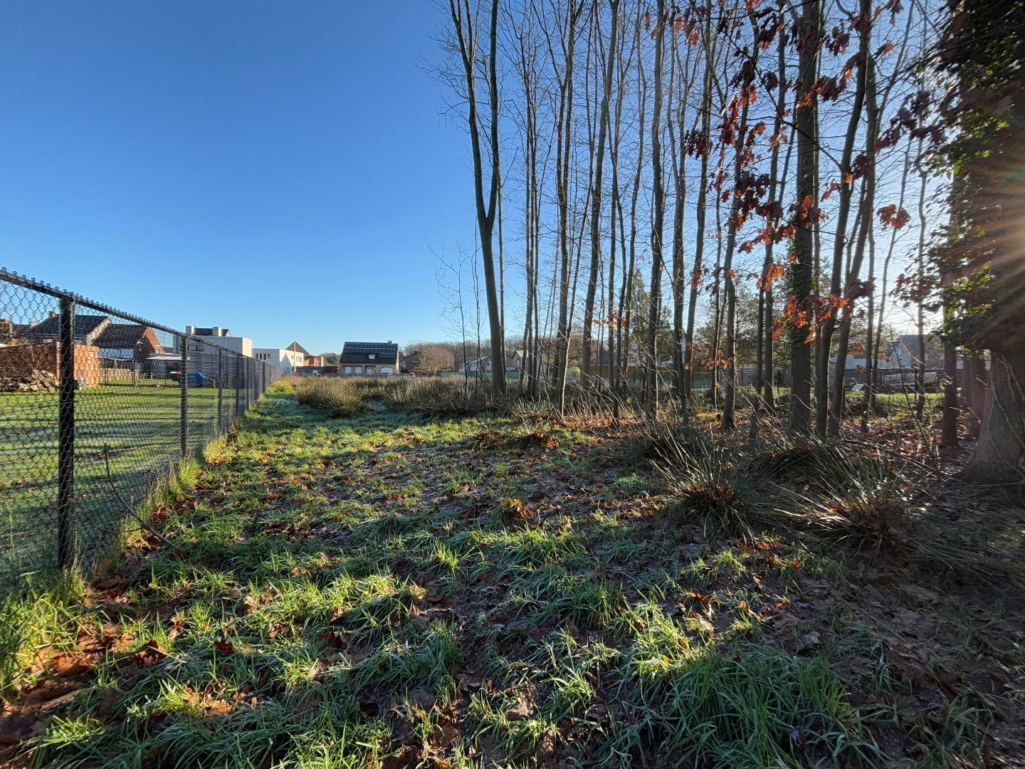 Land for sale in Tessenderlo-Ham - photo 5