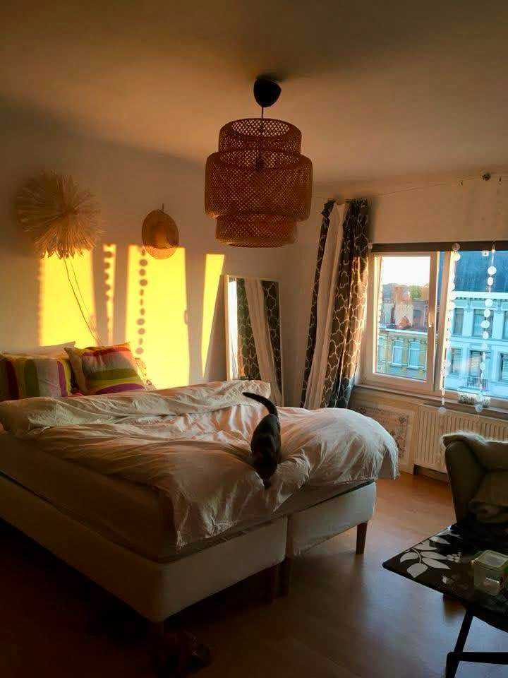 Appartement te huur in Borgerhout met 2 slaapkamers - foto 2