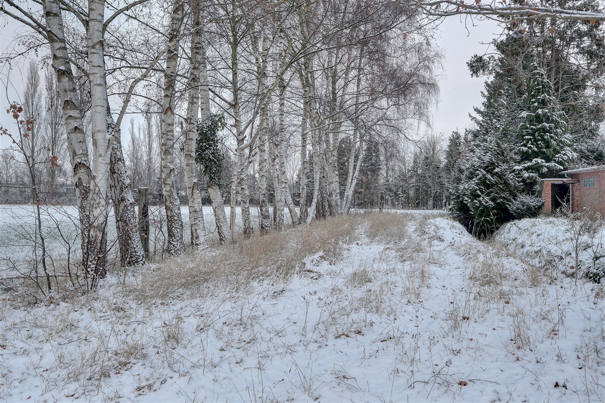 Idyllische paardenweide / bosgrond in Bonheiden - foto 5