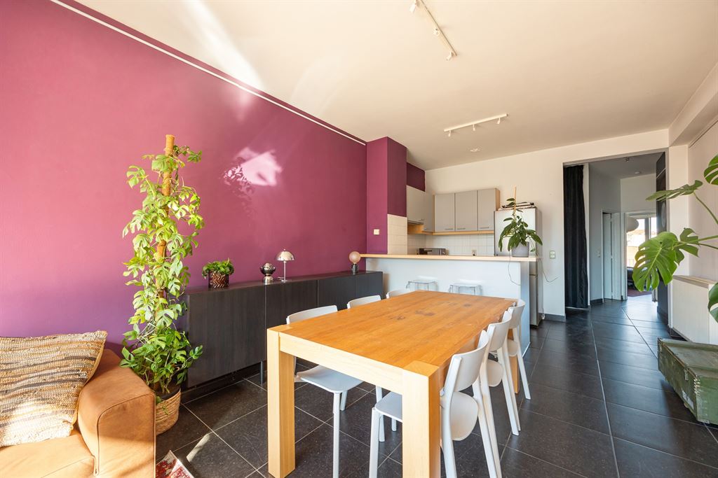 Lichtrijk appartement in hartje Antwerpen - foto 4