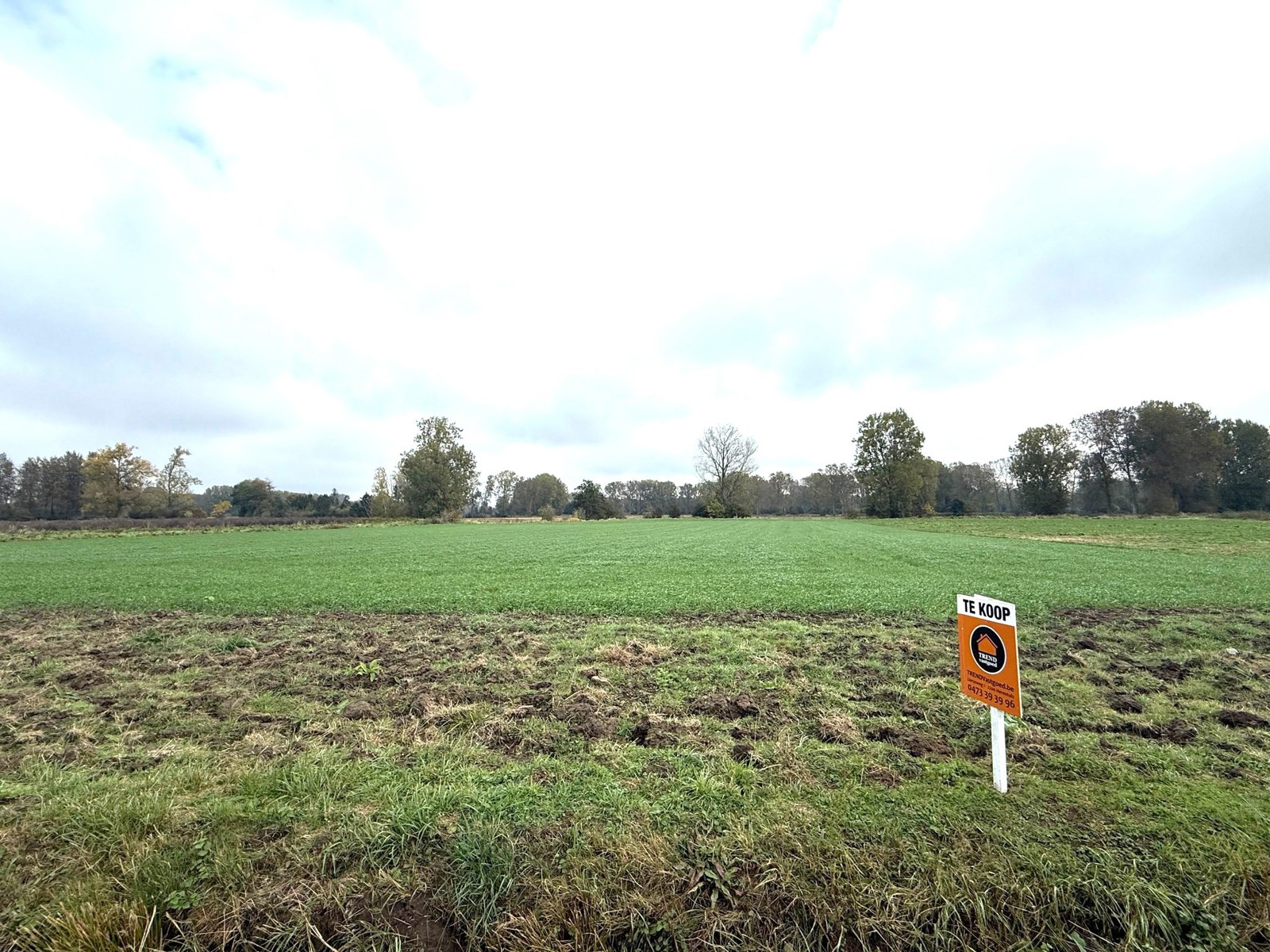 Twee percelen weiland met een totale kadastrale oppervlakte van 18.280 m². - foto 4