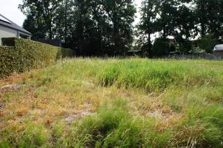 <p><span>Terrain à bâtir de 771 m² destiné à une construction individuelle à Oostmalle.</span><span> </span></p><p><span> </span></p><p><span>Ce terrain à bâtir est adapté à la construction d'une maison individuelle. </span></p><p><span> </span></p><p><span>Largeur du terrain = environ 19,60 m. </span></p><p><span>Profondeur = environ 40 m. </span></p><p><span>Marge latérale par rapport au terrain = façade latérale à 3 m de la limite latérale. </span></p><p><span>Façade arrière à au moins 8 m de la façade avant. </span></p><p><span>Largeur de la façade avant : au moins 7 m. </span></p><p><span>Hauteur de construction de la corniche : max. 6 m et hauteur au faîte : max. 11 m. </span></p><p><span>Toit en pente avec une inclinaison comprise entre 35° et 55° minimum ; toit plat autorisé en cas d'extension. </span></p><p><span>Implantation des dépendances : à au moins 10 m de la ligne de construction de la façade arrière. </span></p><p><span> </span></p><p><span>Pour plus d'informations : par téléphone au 0477 52 54 81 et par e-mail à <span>cs@janssenenjanssen.be</span></span><span>. </span></p><p><span> </span></p><p><span>Informations urbanistiques : pas de permis requis, permis de lotissement, pas de droit de préemption, aucune mesure de réhabilitation sociale imposée, zone résidentielle. </span></p>