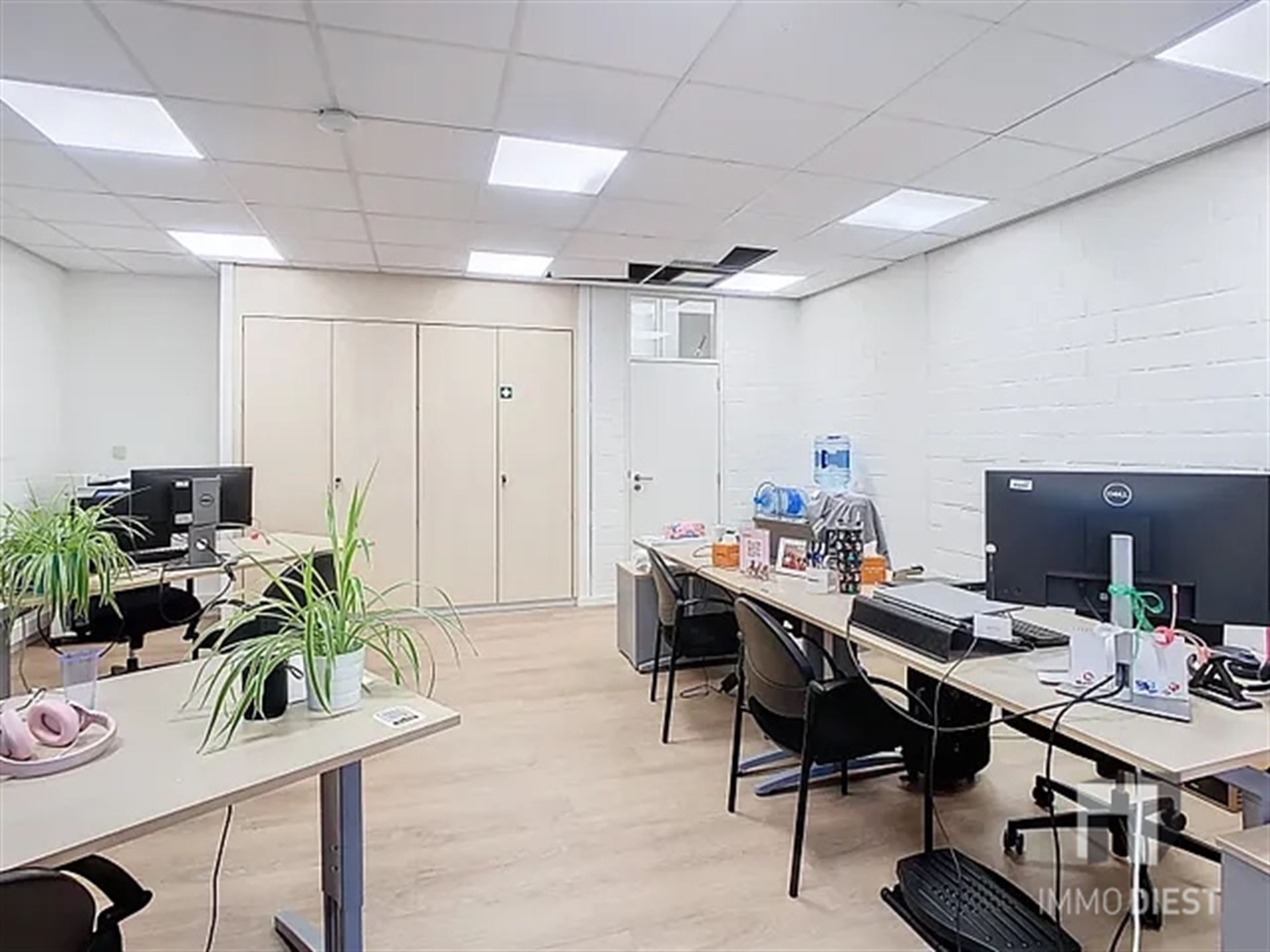 Commercial à louer à Tessenderlo - photo 5