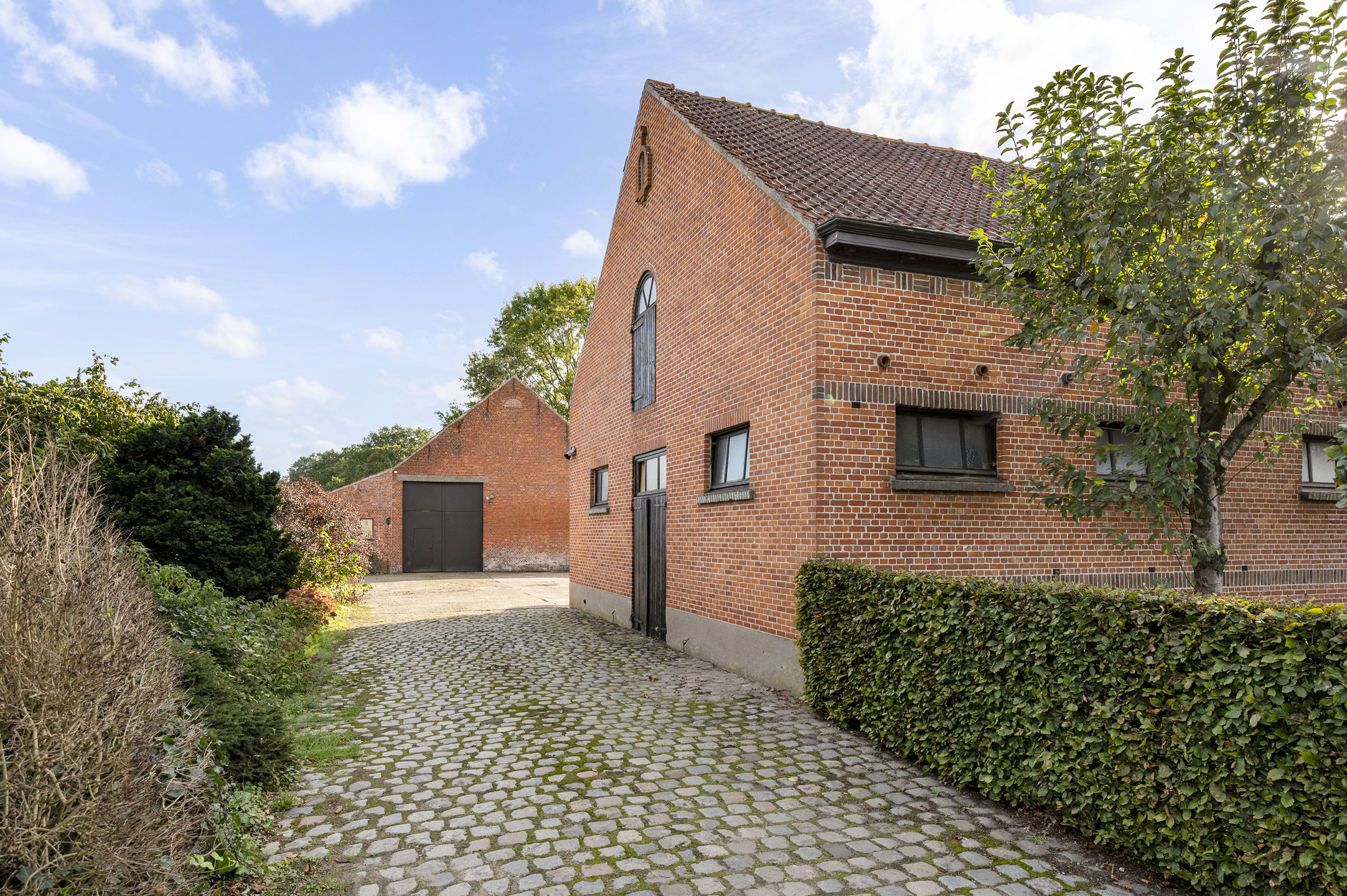Karaktervolle boerderij met bijgebouw en schuur, met flexibele aankoopmogelijkheden tot ca. 3,57 ha - foto 4